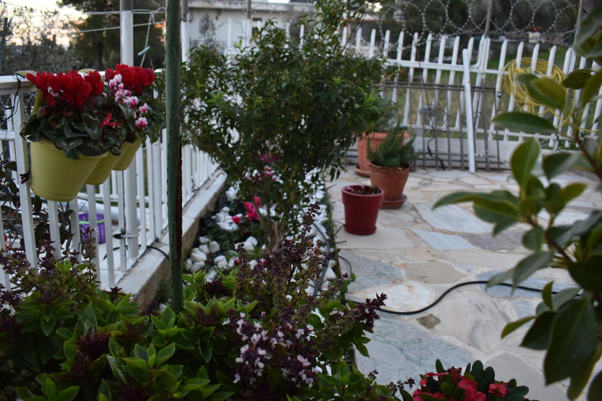 Panorama Γλυκά Νερά - Athens Apartment Bagian luar foto
