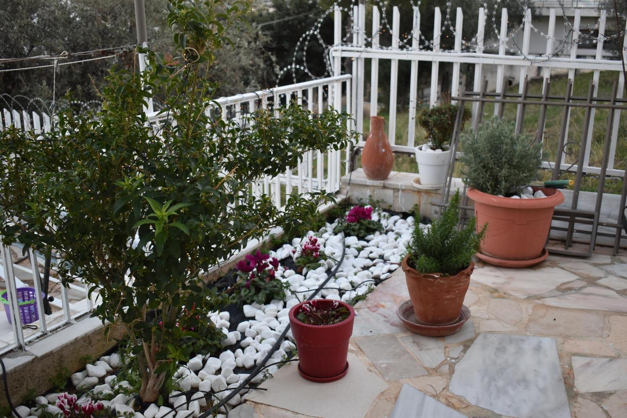 Panorama Γλυκά Νερά - Athens Apartment Bagian luar foto
